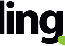 bling-logo